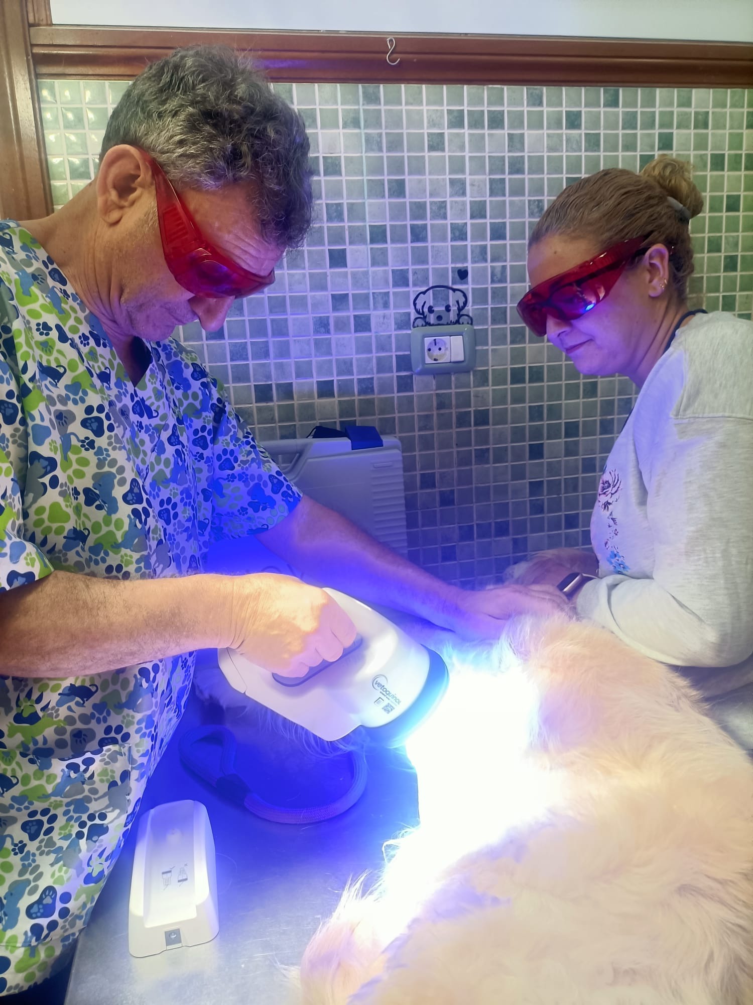 Dr. Pablo Álvarez aplicando terapia Phovia a un perro en Clínica Veterinaria San José Las Palmas
