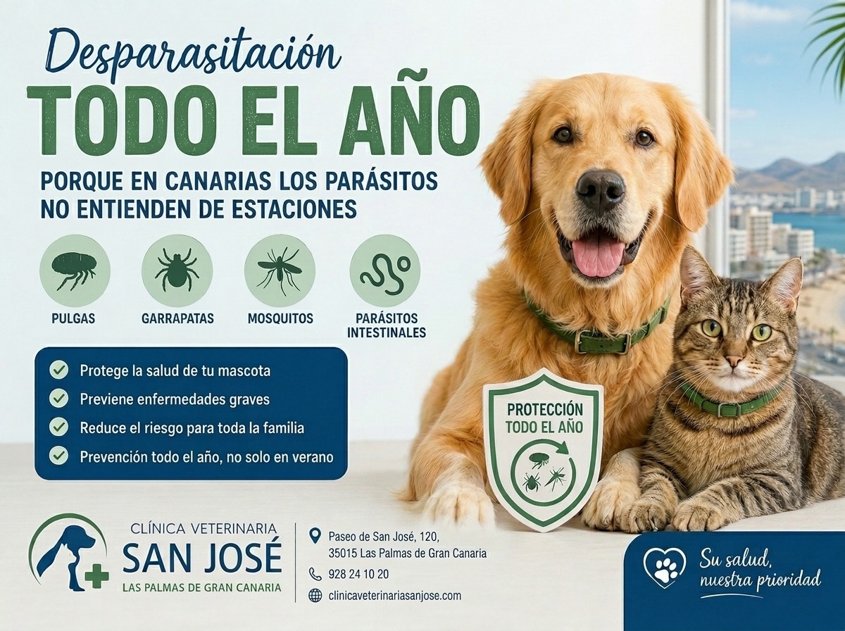 Desparasitación en Canarias: por qué ya no basta con el verano