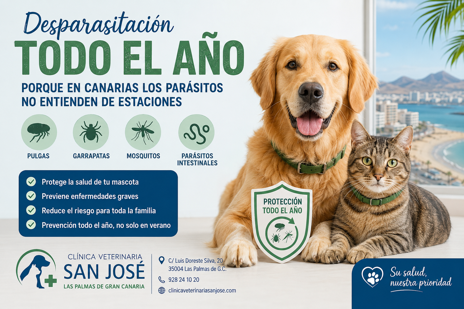 Desparasitación en Canarias todo el año - Clínica Veterinaria San José Las Palmas