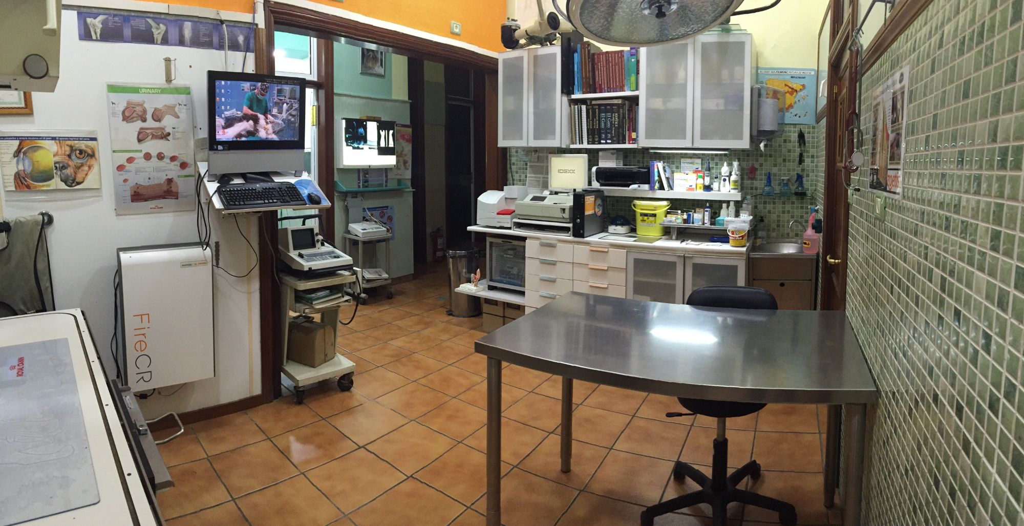 Consulta veterinaria de la Clínica Veterinaria San José en Las Palmas
